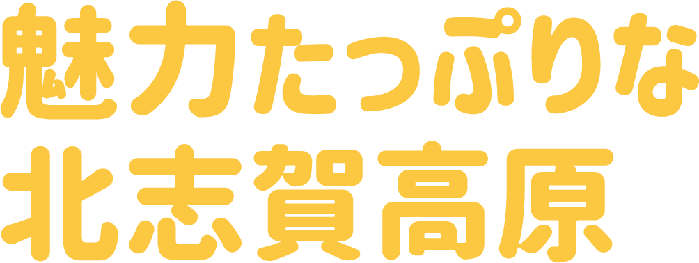 魅力たっぷりな北志賀高原